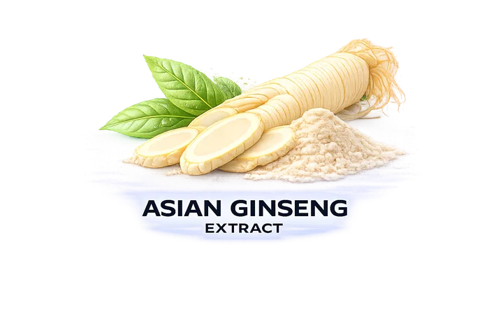 Asian Ginseng Extract ingredient