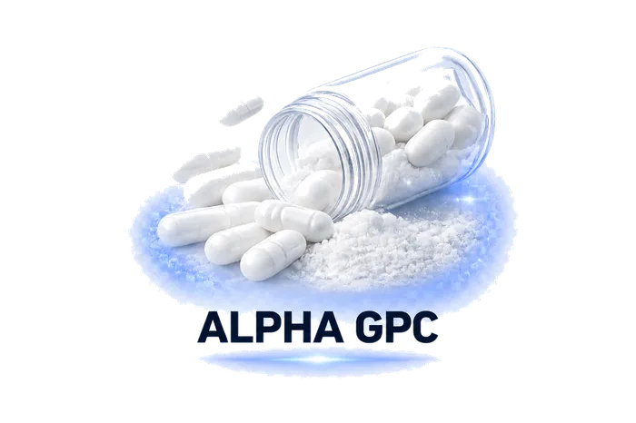 Alpha GPC ingredient